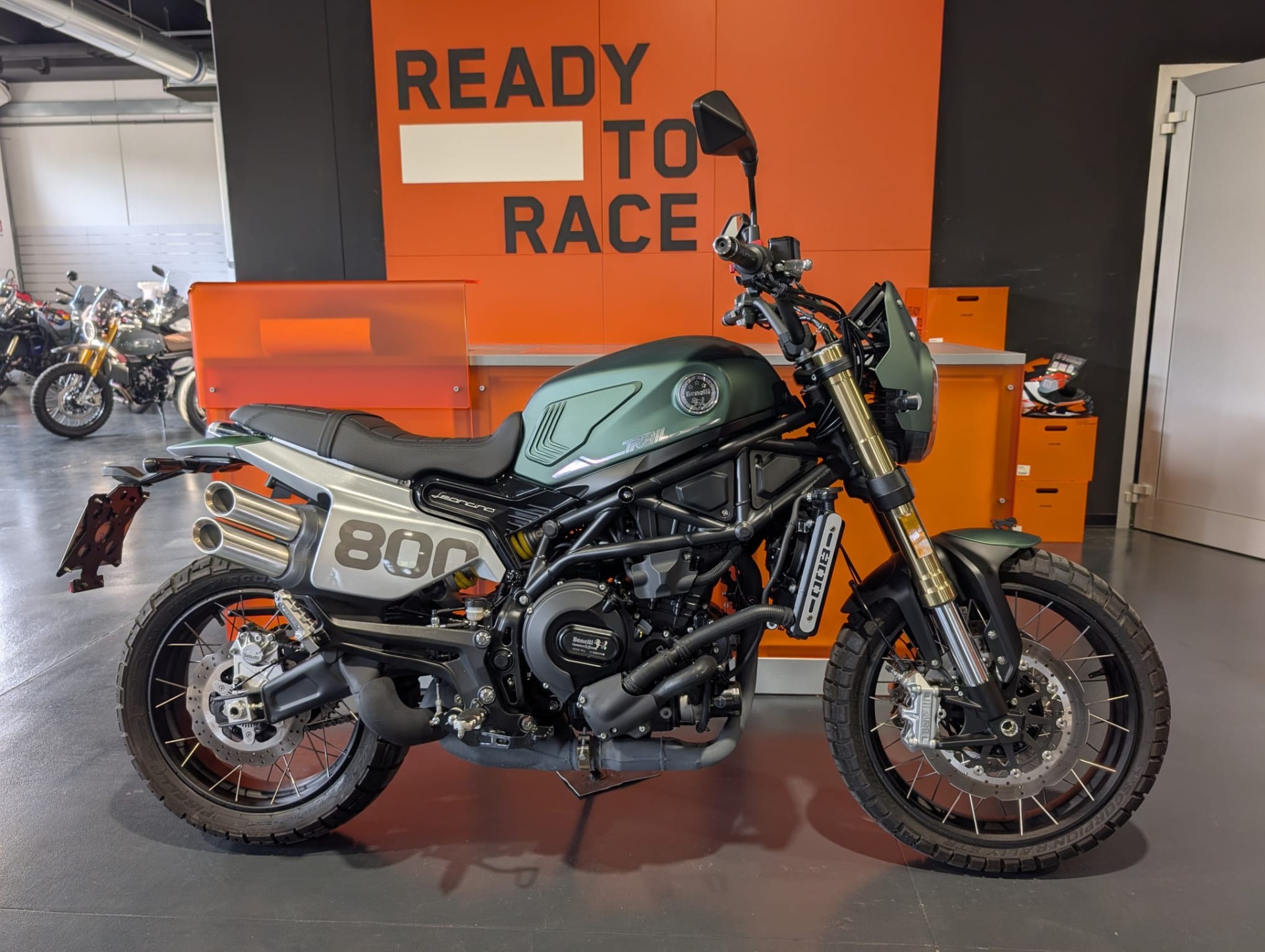 Benelli Leoncino 800